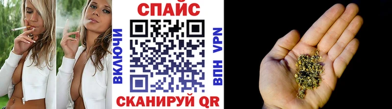 shop как зайти Богородск Бутират буратино где купить наркотик