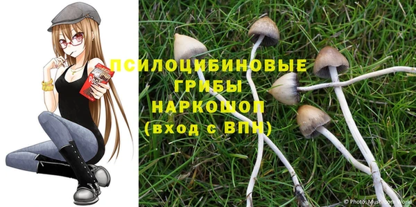 a pvp Арсеньев