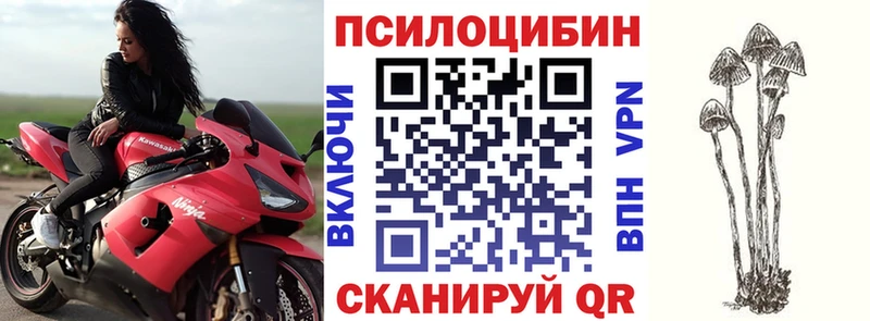 Галлюциногенные грибы Psilocybine cubensis Богородск